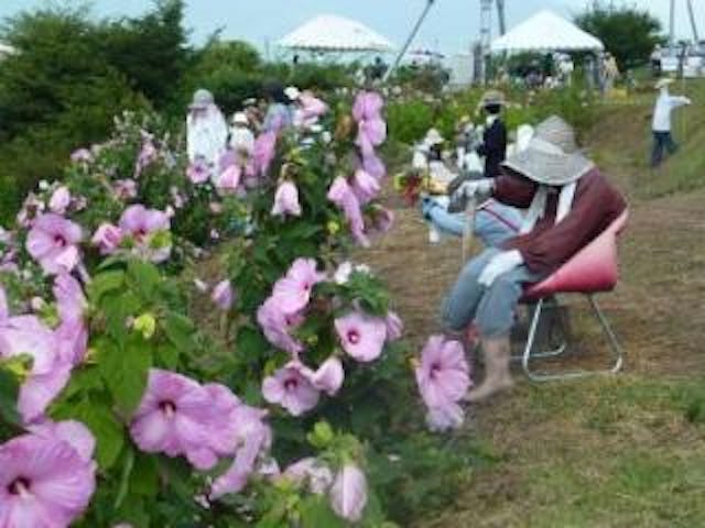 【2020年中止】かかし夏祭り