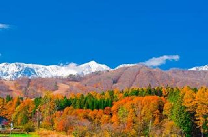 白馬岩岳マウンテンリゾート秋営業