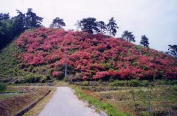 城山つつじ公園