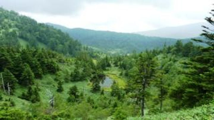 鬼の相撲場の池