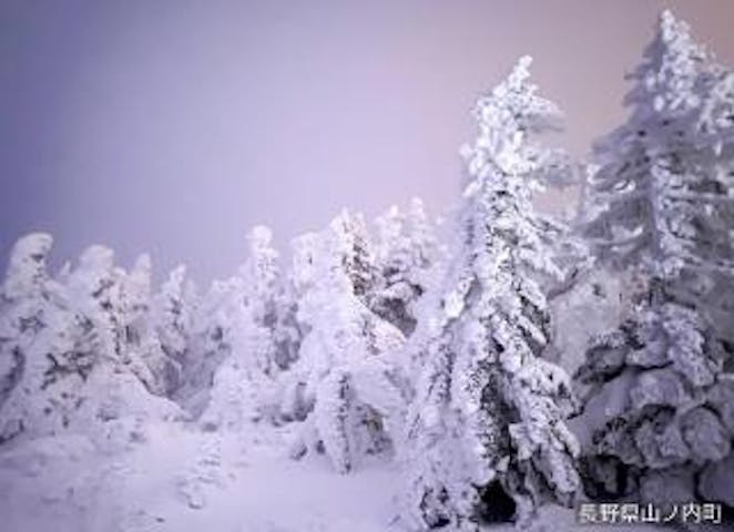 スノーモンスターNight Tourと新設！トワイライト＆サンセットツアー