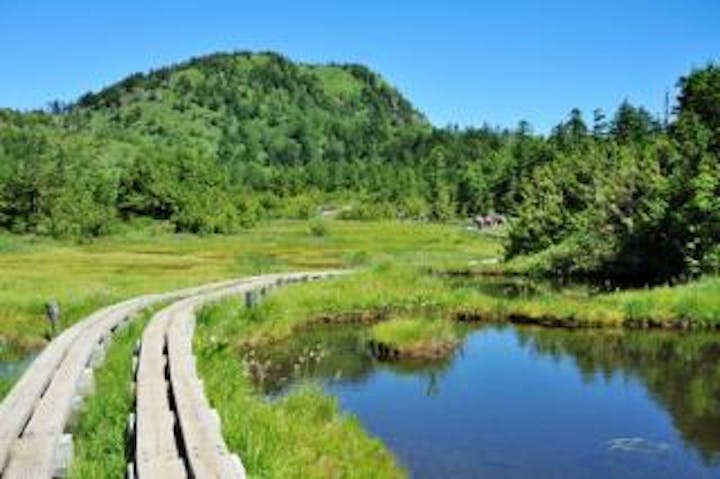 池めぐりコース