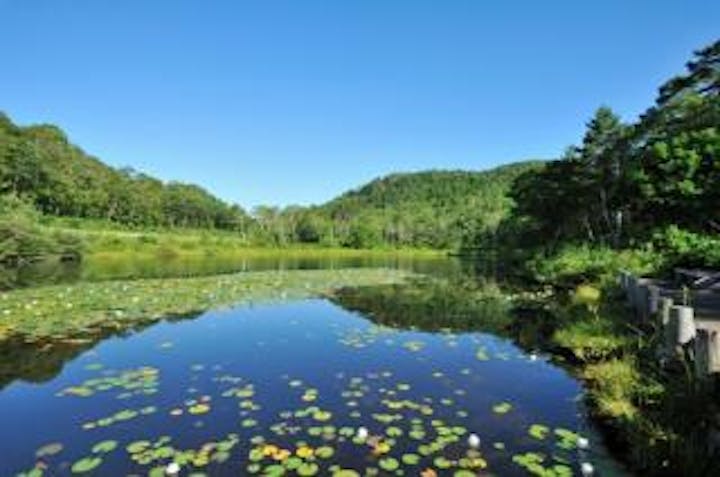 旭山登山コース