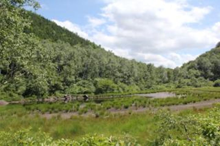 サンシャイントレール・水無池コース