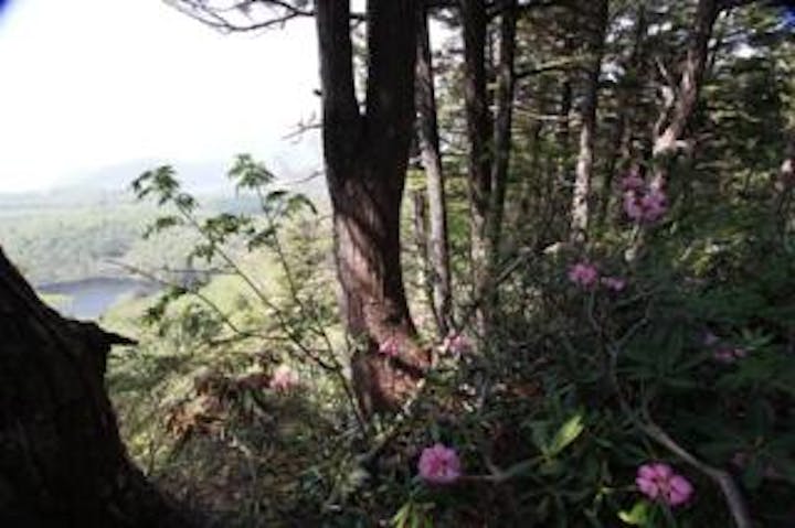 まが玉の丘コース