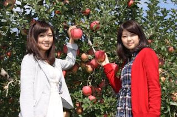 山ノ内町グリーン・ツーリズム協議会