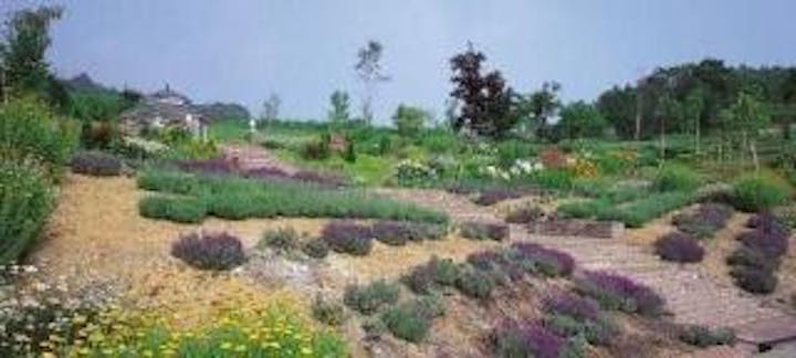 木島平やまびこの丘公園