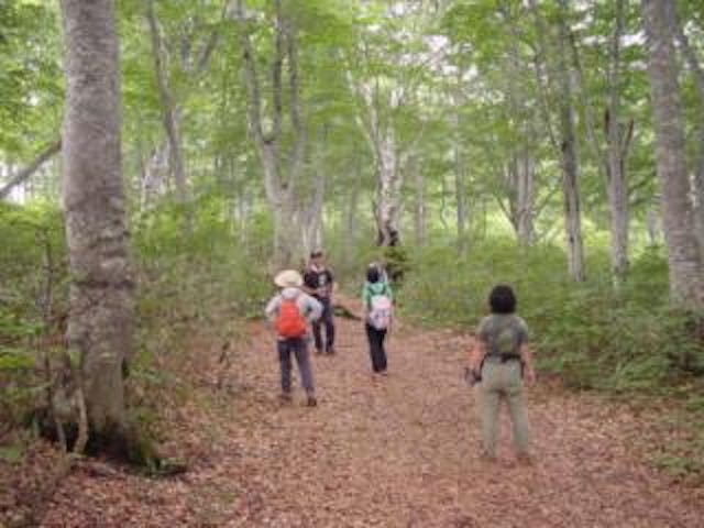 自然体験プログラム