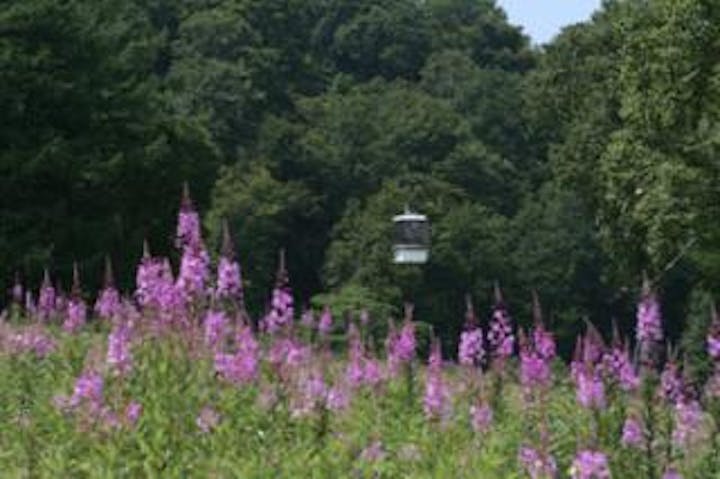 上ノ平高原ヤナギランガーデン