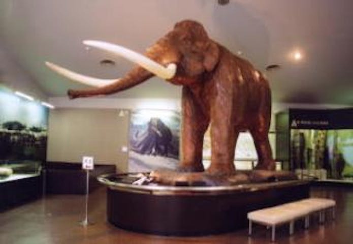 野尻湖ナウマンゾウ博物館