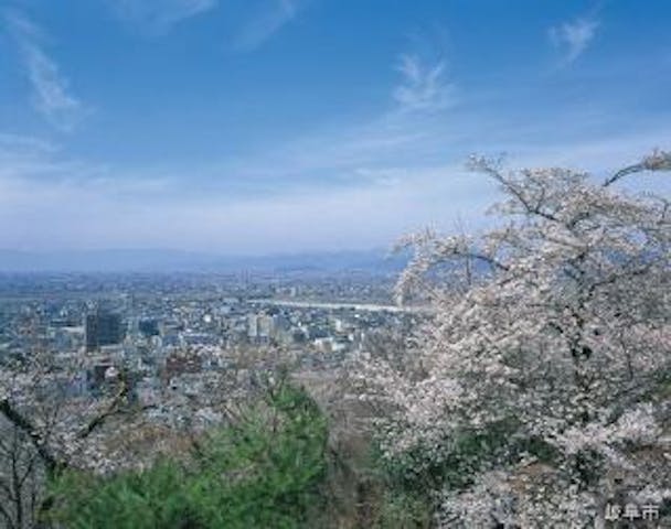 水道山の桜