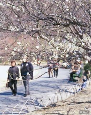 梅林公園