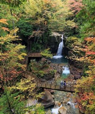 夕森もみじまつり