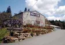 スポットの写真