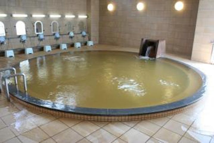 羽島市老人福祉センター 羽島温泉