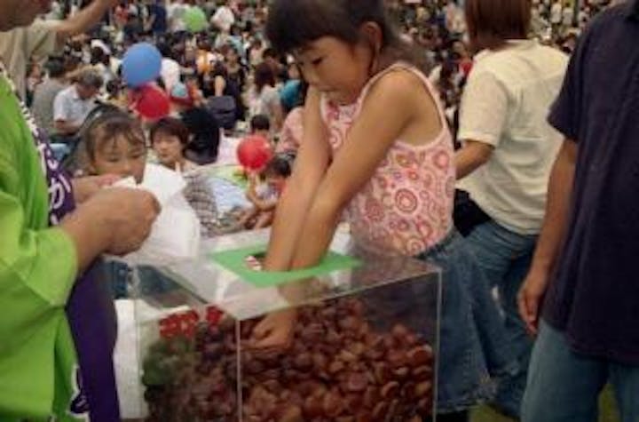 【2021年中止】山県市ふるさと栗まつり