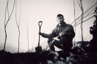 スポットの写真