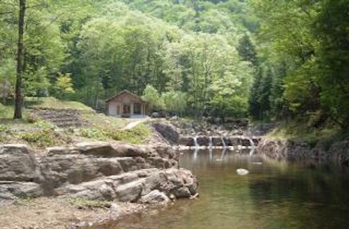 和良大月の森公園キャンプ場