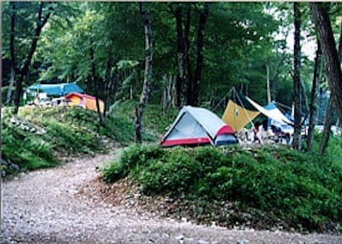 大谷森林キャンプ村