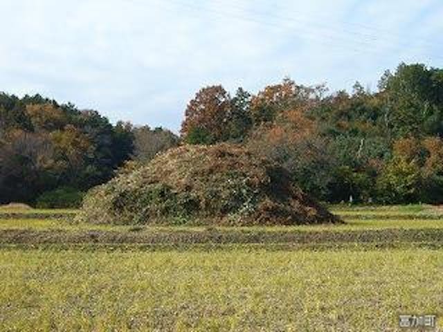 閏田古墳