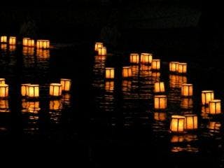 スポットの写真