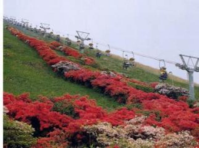 大室山登山リフト アソビュー