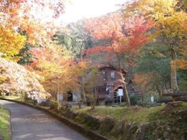 須津山休養林キャンプ場