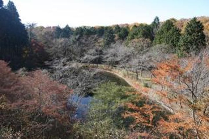 富士市丸火遊歩道