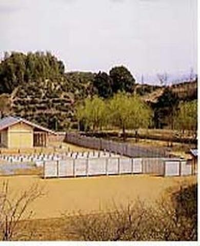 志太郡衙資料館