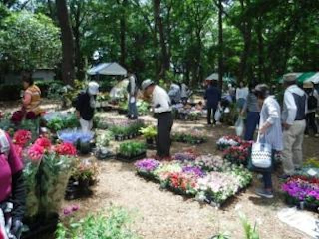 ※中止※　五竜みどりまつり