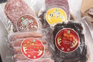 スポットの写真