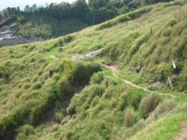 子浦日和山遊歩道