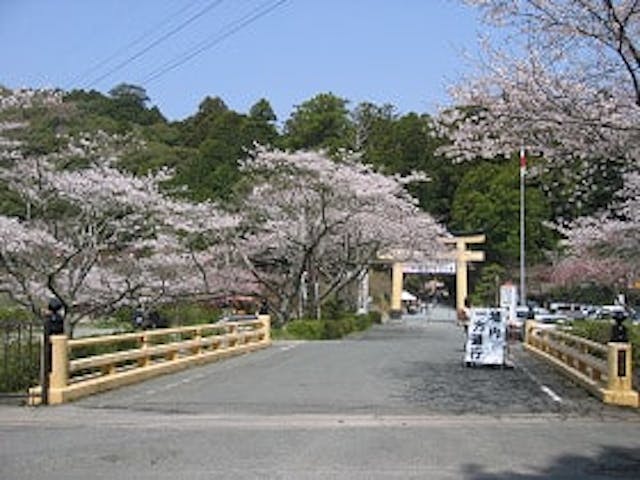 小國神社桜まつり