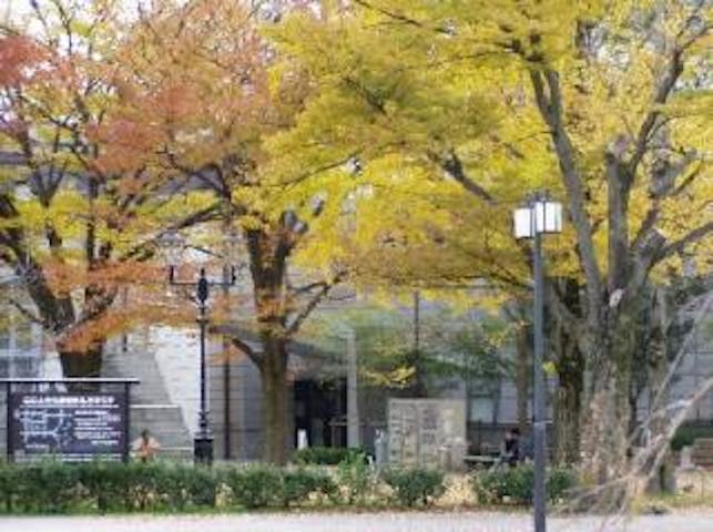 岡崎公園の紅葉