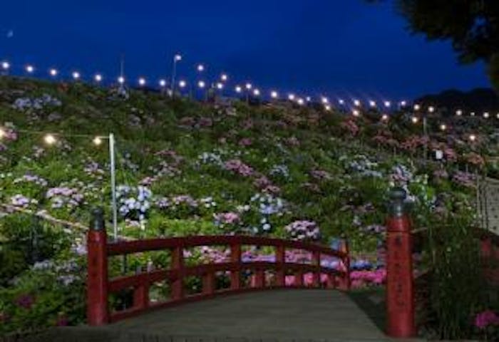 形原温泉あじさい祭り