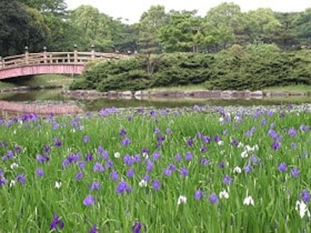 上野台公園