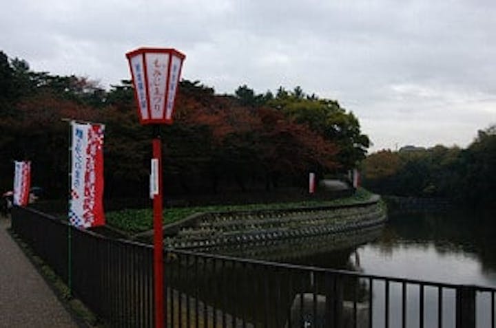 聚楽園公園もみじライトアップ