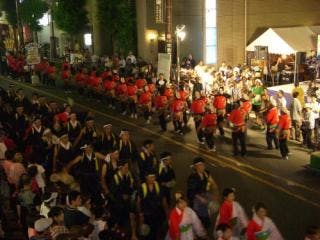 スポットの写真