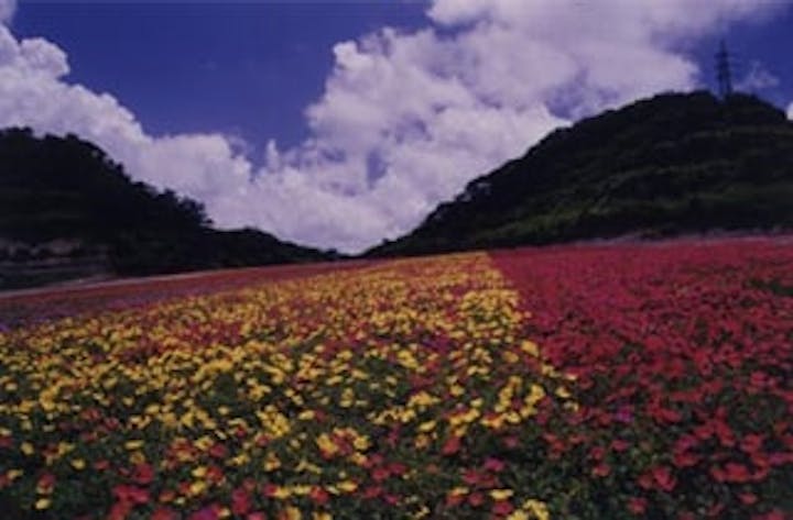 観光農園花ひろば