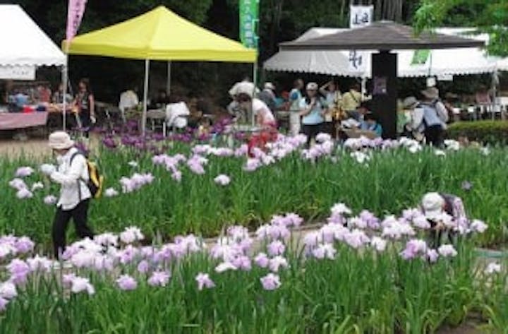 【2021年中止】花しょうぶまつり