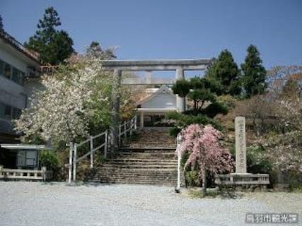 スポットの写真