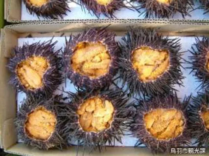 スポットの写真