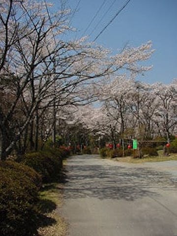 美薗公園