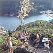 スポットの写真