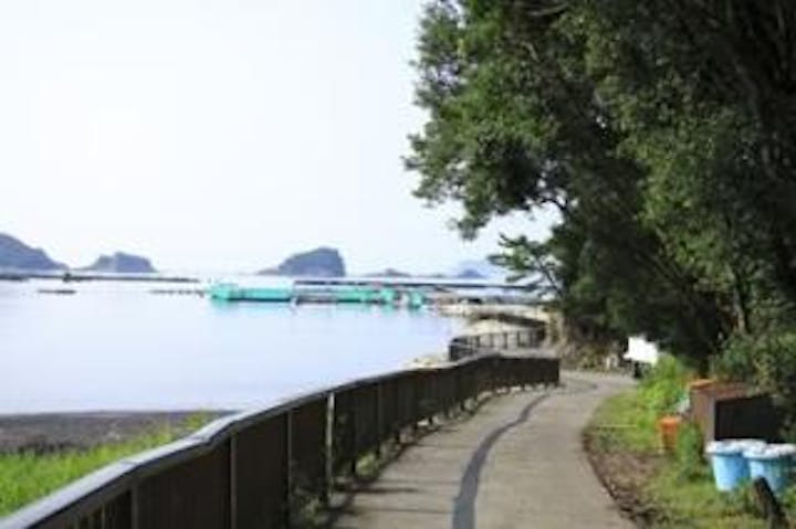 網元釣り堀センター正徳丸