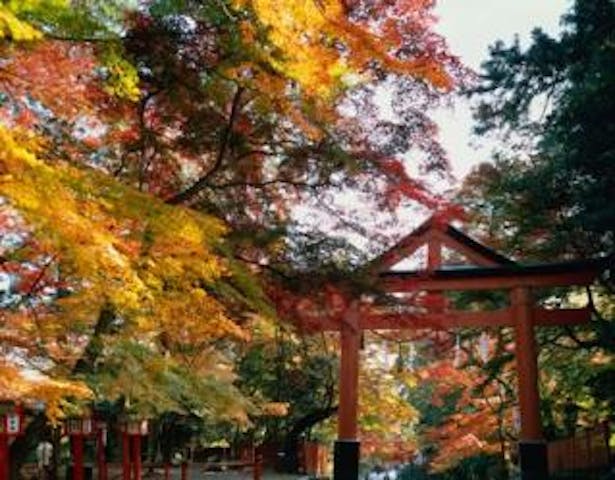 日吉大社の紅葉