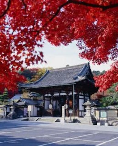 石山寺の紅葉