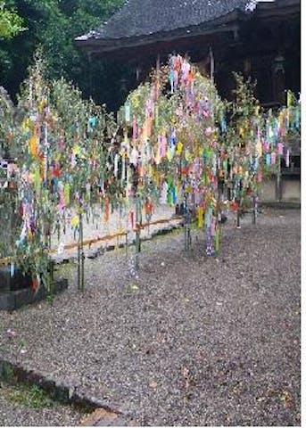 【2021年奉納のみ】矢川神社七夕まつり