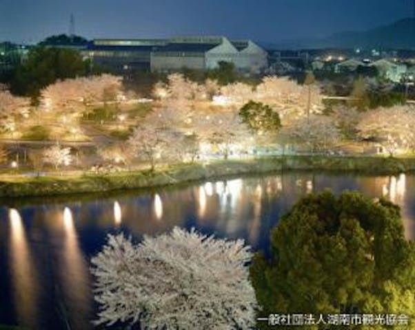 【2021年中止】湖南市さくらまつり