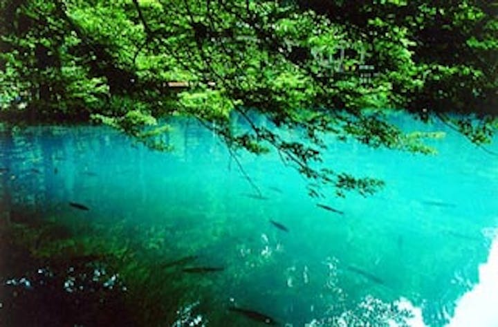 滋賀県醒井養鱒場